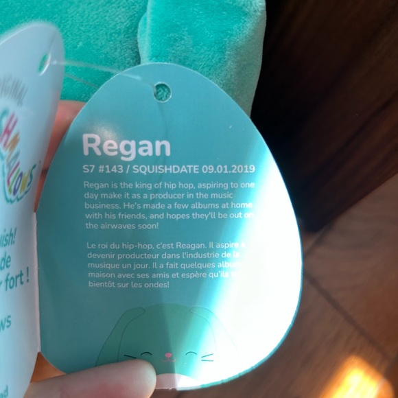 Reagan the Bunny 7” Squishmallow - Picture 4 of 4